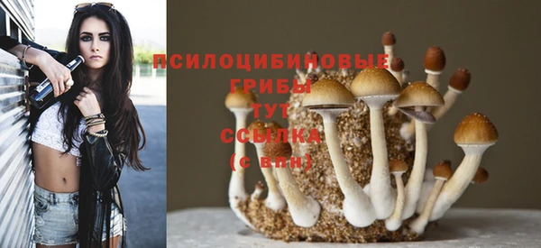 прущие крисы Баксан
