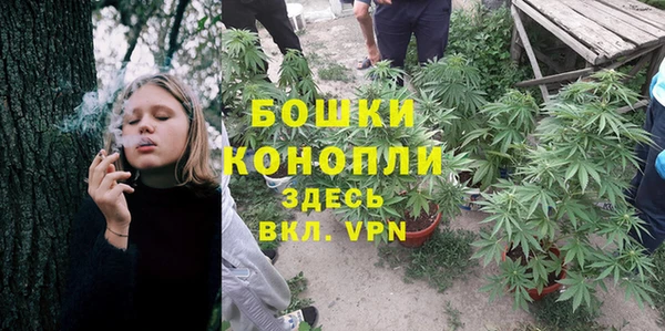 прущие крисы Баксан