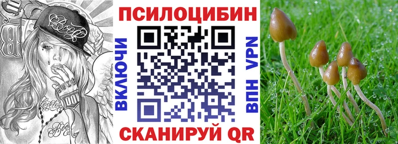 Галлюциногенные грибы мухоморы Долинск